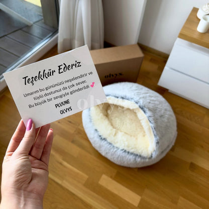 Rahat Pluune Cozy-Evcil Hayvan Yatağı